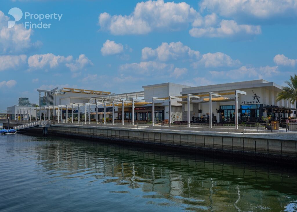 imgi_115_watermark